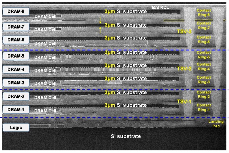 1 Logic + 8 DRAM 적층 단면 이미지. 각 DRAM 층의 Si 기판이 ~3µm로 극도로 얇다. Via-in-One TSV가 2-3개의 Contact Ring과 접촉하며, 모든 DRAM BEoL 배선층이 TSV 버스에 직접 연결된다.