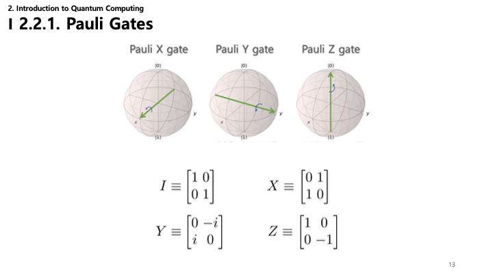 Pauli Gates Slide
