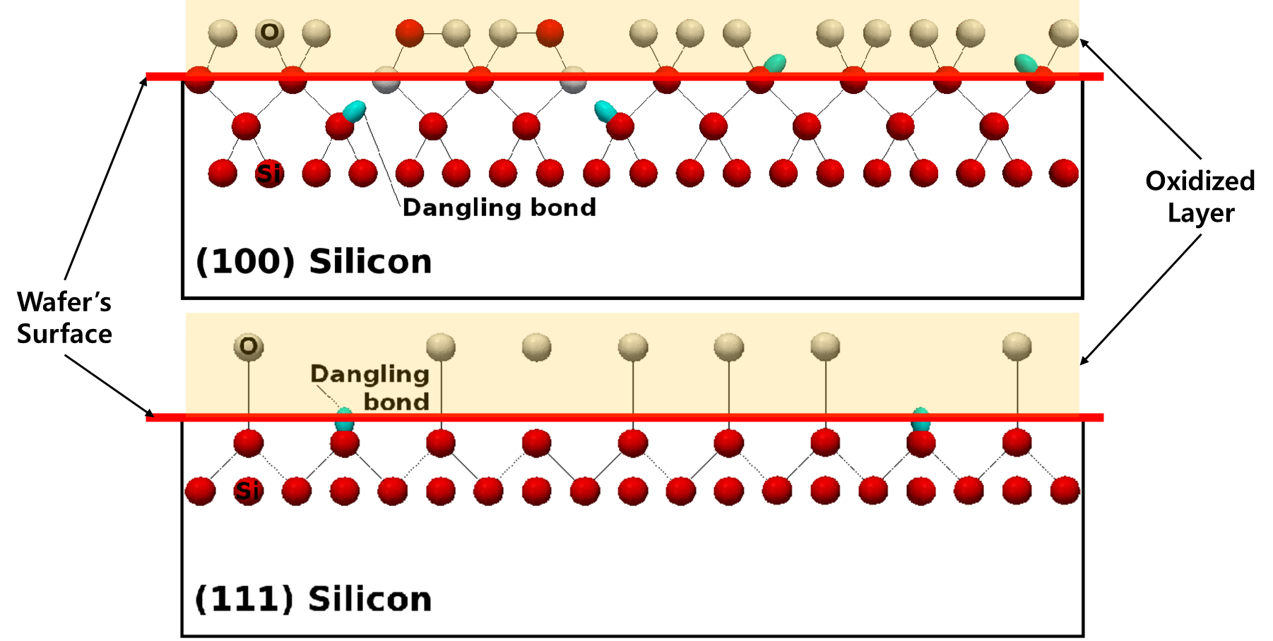 Si(100) vs Si(111) Dangling Bond