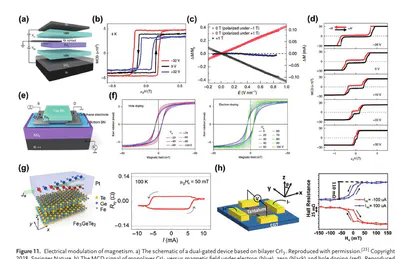 Condensed Matter